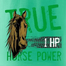 True Horse Power 1 HP True Horse Power 1 HP