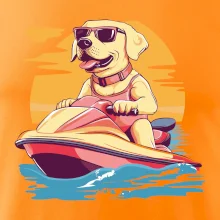 Zlatý retriever na vodnom skútri