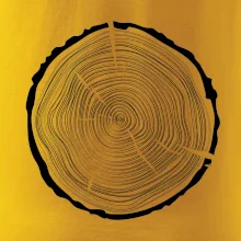 Letokruhy 50 bez veku