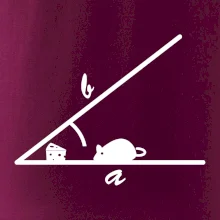 Matematická myš Matematická myš