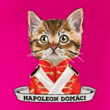 Napoleon domáci mačka
