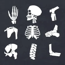 Röntgen - ikony Röntgen - ikony