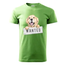 Zlatý retriever - šteniatko wanted