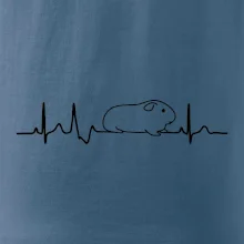 EKG morča EKG morča