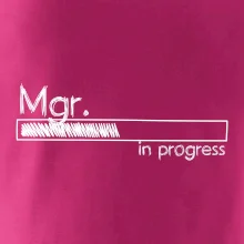 In progress titul Mgr. magister / magistra