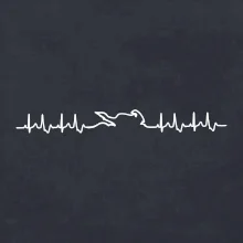 Moto EKG Moto EKG