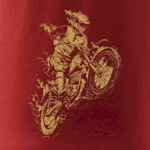 Dirt bike vintage
