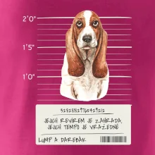 Baset - lump a darebák  