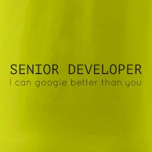 Senior developer google better than you