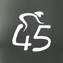 Cyklista oslavuje štyridsaťpäťku (45)