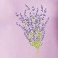 Levanduľa kreslená