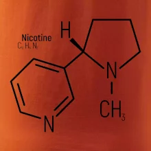 Molekulárna štruktúra Nikotín