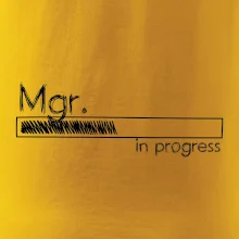 In progress titul Mgr. magister / magistra