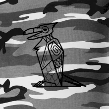 Mayovia - zvieratá papagáj