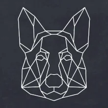 Nemecký ovčiak - Geometria