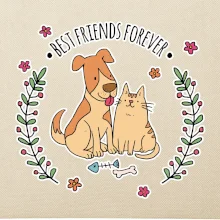 Mačka a pes best friends