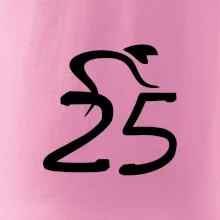 Cyklista oslavuje dvadsaťpäťku (25)