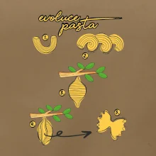 Evoluce pasta