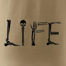 Radiology Life Radiology Life