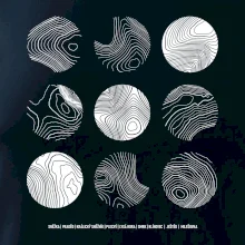 Vrstevnice najvyšších Českých hôr