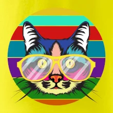 Mačka pri farebnom západe