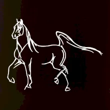 Kôň silueta Kôň silueta