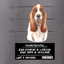 Baset - lump a darebák  