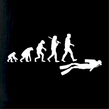 Evolúcia potápanie