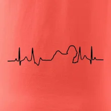 Shih-tzu ekg obrys Shih-tzu ekg obrys