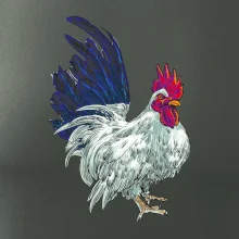 Kohút kreslený biely