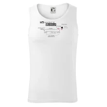 Jazvečík - Anatómia