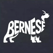 Bernese Mountain Dog nápis v tele