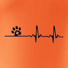 Veterinár EKG
