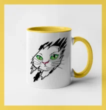 Kočka v roztrženém triku