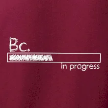 In progress titul Bc. bakalár / bakalárka