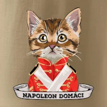 Napoleon domáci mačka