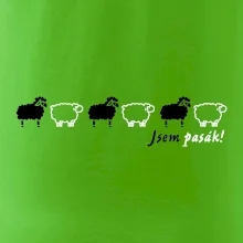 Som pasák - ovce v rade