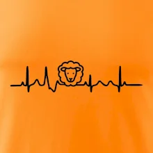 Ekg ovce Ekg ovce
