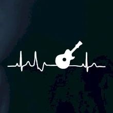 EKG akustická gitara EKG akustická gitara