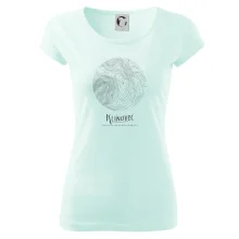 Klínovec - vrstevnice v kruhu