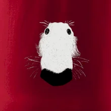 Barzoj čumák (Moňas)