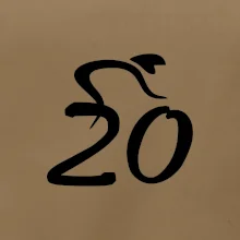 Cyklista oslavuje dvadsiatku (20)