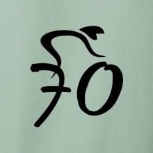 Cyklista oslavuje sedemdesiatku (70)