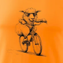 Ovce s okuliarmi na bicykli