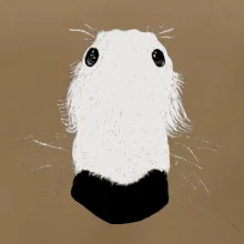 Barzoj čumák (Moňas)