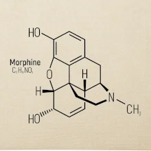Molekulárna štruktúra Morfín