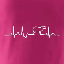 Ekg Capybara
