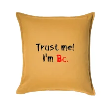Trust me I´m  Bc. / Ver mi som Bc.