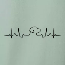 Labradorský retriever‎ EKG
