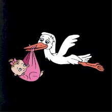 Bocian a bábätko - dievča (Hana-creative) Bocian a bábätko - dievča (Hana-creative)